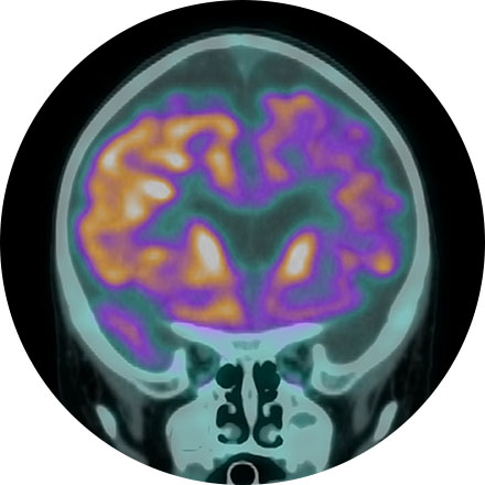 Brain Health icon