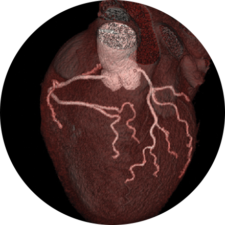 Cardiac & Vascular Imaging icon